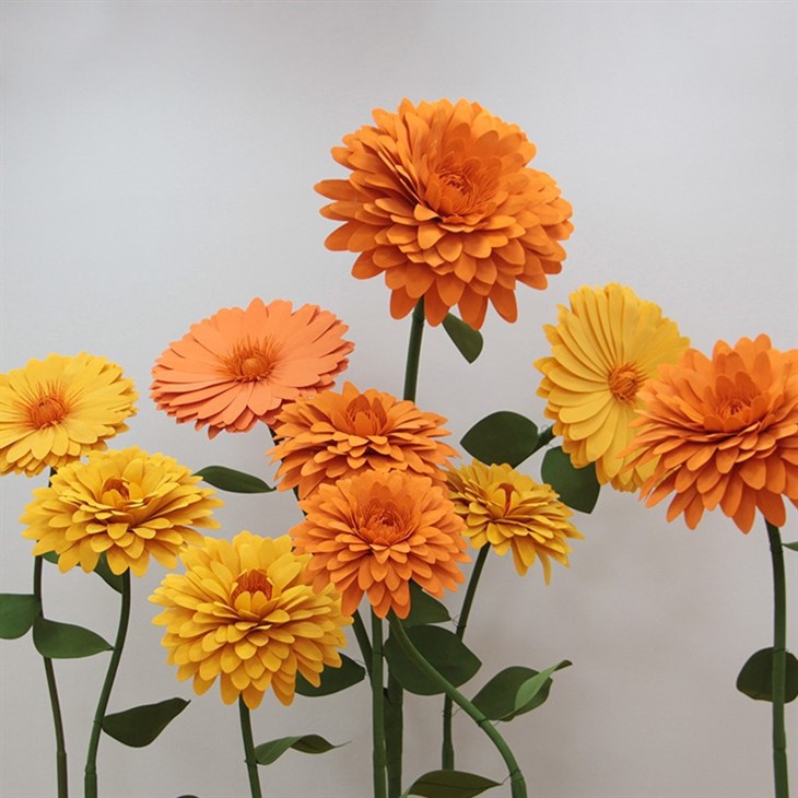 Marigold blodau ewyn