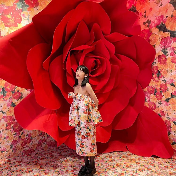 Propiau cefndir rhosyn enfawr