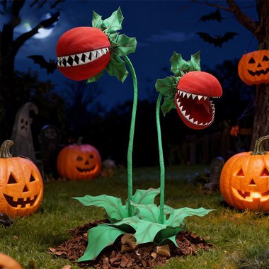 Blodau Papur Calan Gaeaf